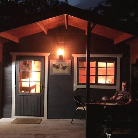 Unique Tiny House Near 3 Peaks - The Zedshed Apartment Bentham Bagian luar foto